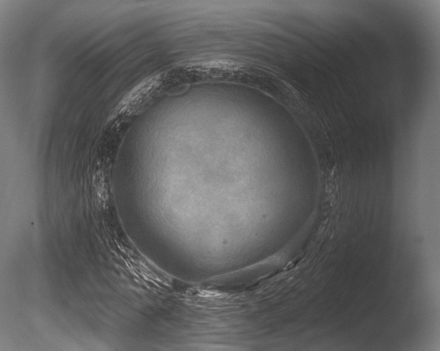 X0000086000774200703231144