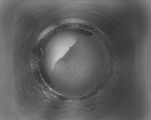X0000086000775200703231144