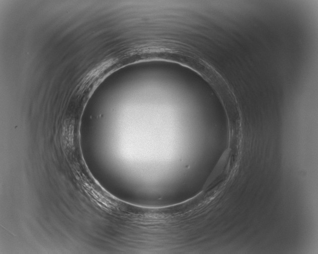 X0000086000777200703231144