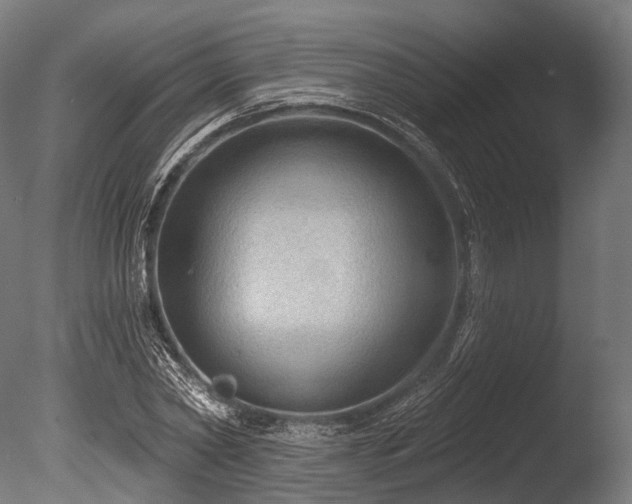 X0000086000782200703231144