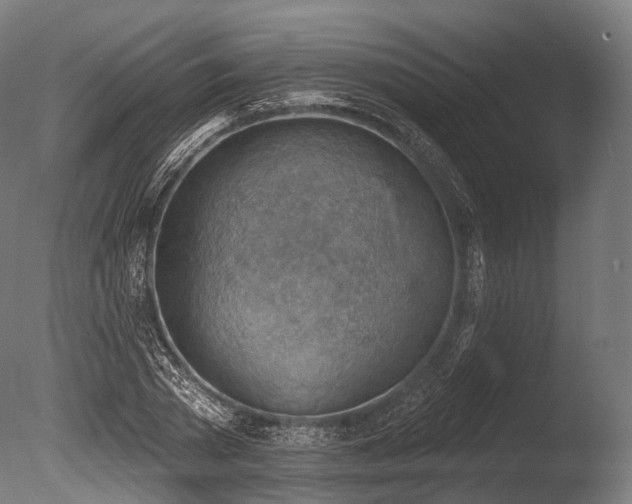 X0000086000785200703231144