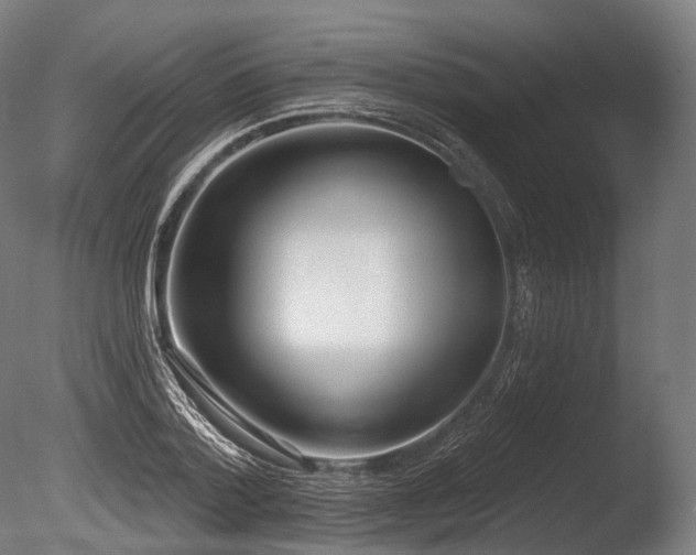 X0000086000788200703231144