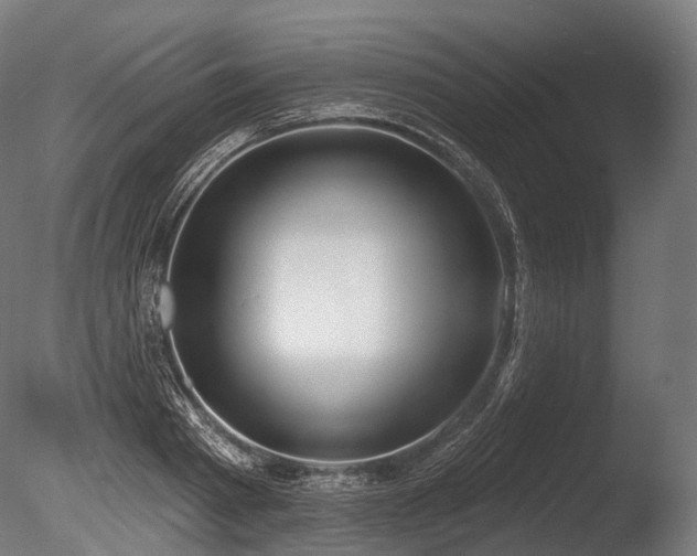 X0000086000793200703231144