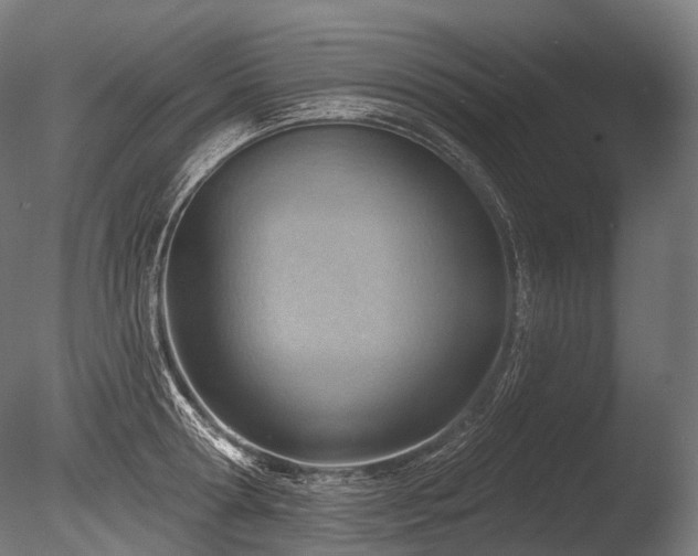 X0000086000802200703231143