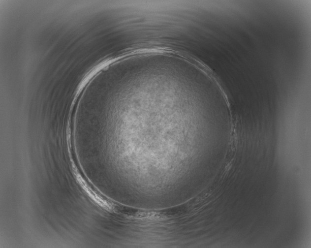 X0000086000811200703231143