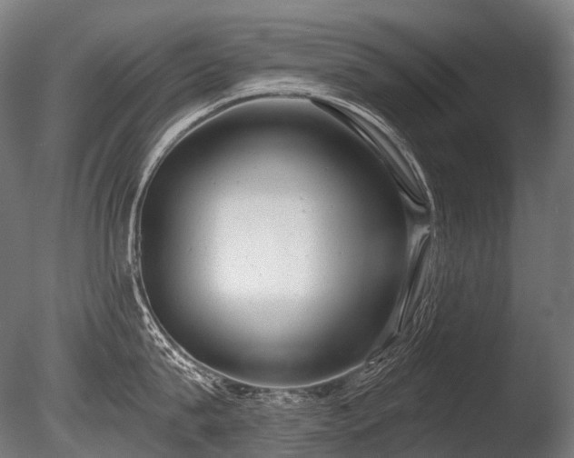 X0000086000815200703231143