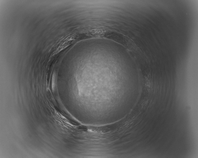 X0000086000818200703231142