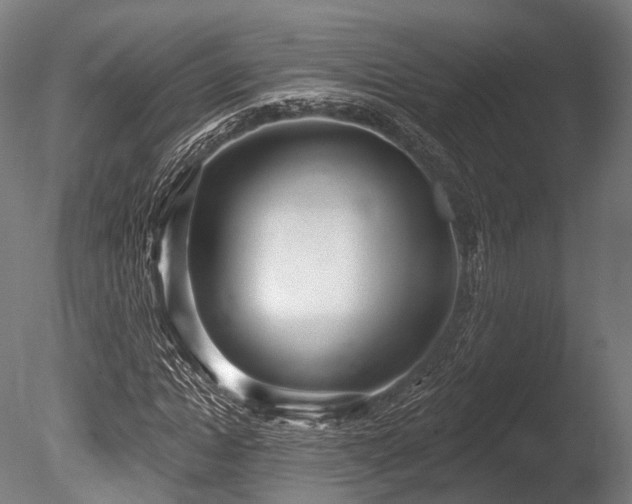 X0000086000822200703231142