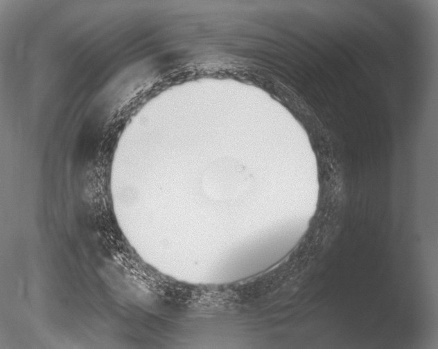 X0000086000824200703231143