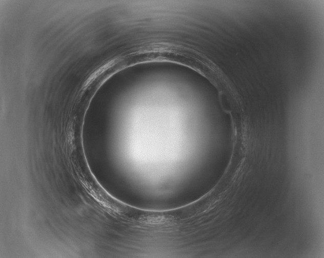 X0000086000826200703231143