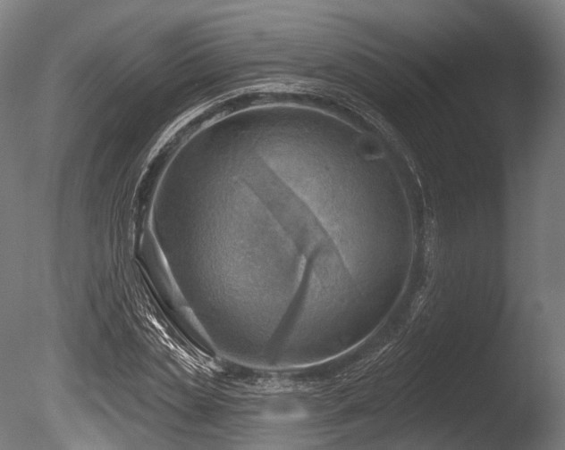 X0000086000829200703231143