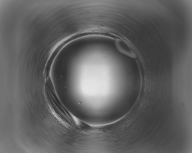 X0000086000838200703231143