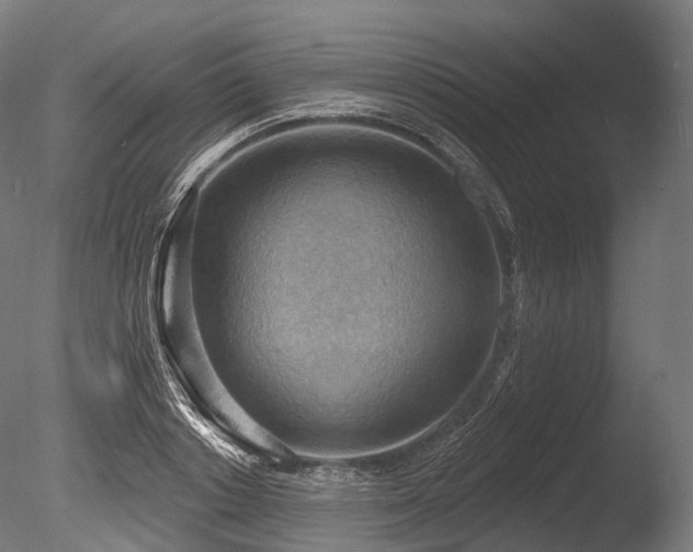 X0000086000842200703231143
