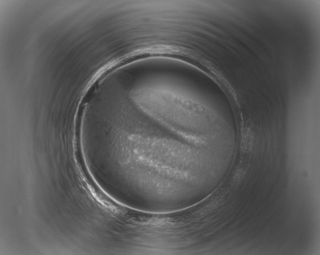 X0000086000845200703231143
