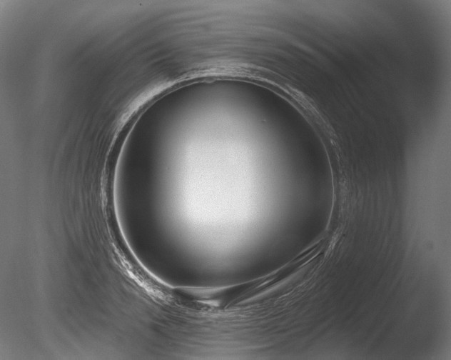 X0000086000846200703231143