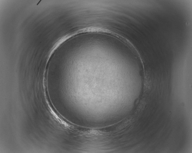 X0000086000847200703231143