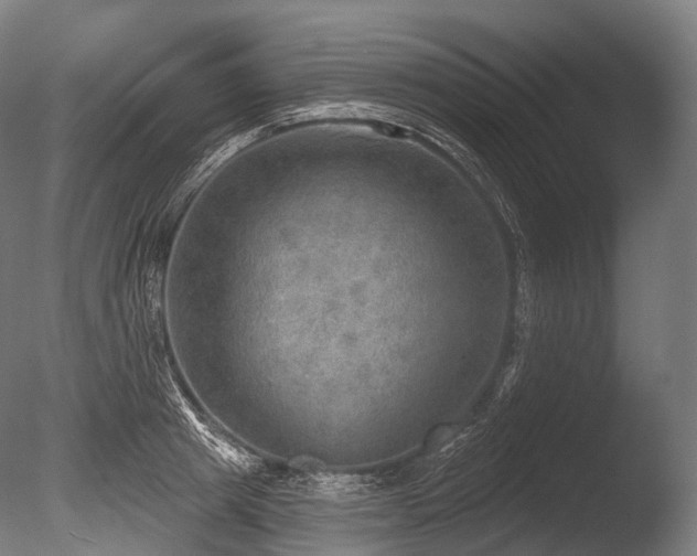 X0000086000849200703231143
