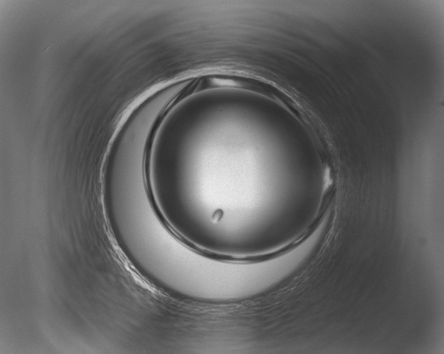 X0000086000854200703231143