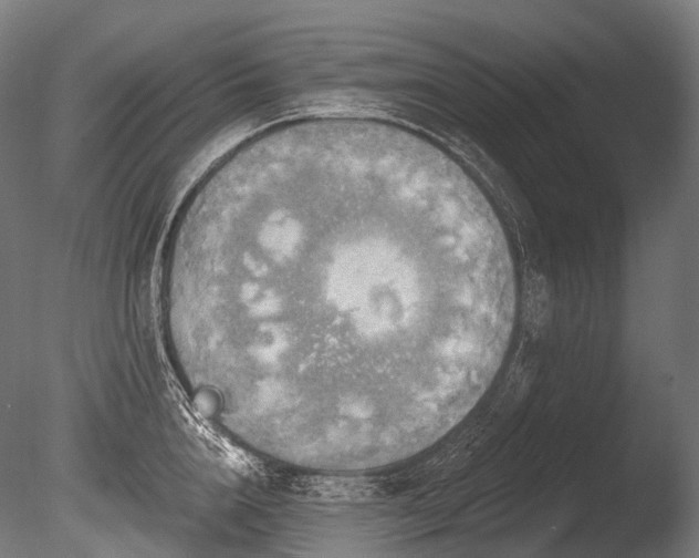 X0000086000856200703231143