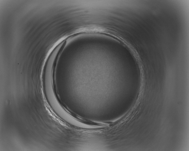 X0000086000864200703231143