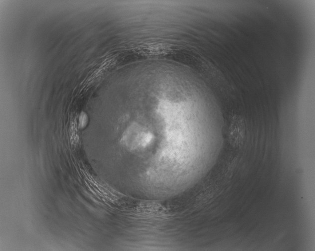 X0000086000866200703231142