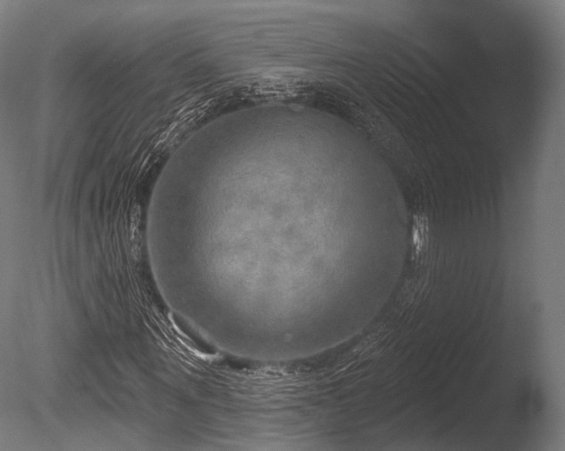 X0000086000867200703231142