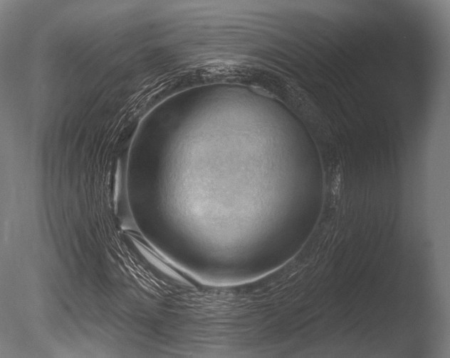 X0000086000868200703231142
