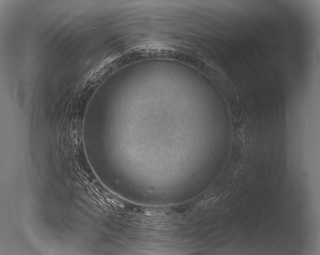 X0000086000870200703231142