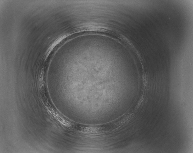X0000086000875200703231142