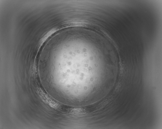 X0000086000883200703231142