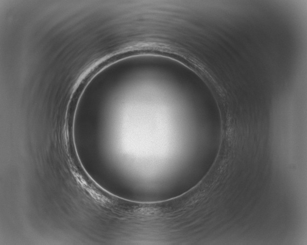 X0000086000888200703231142