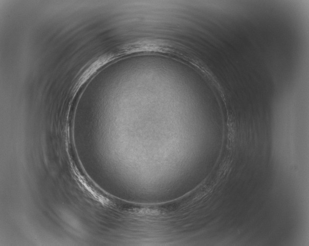 X0000086000890200703231142