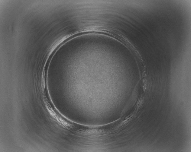X0000086000892200703231142