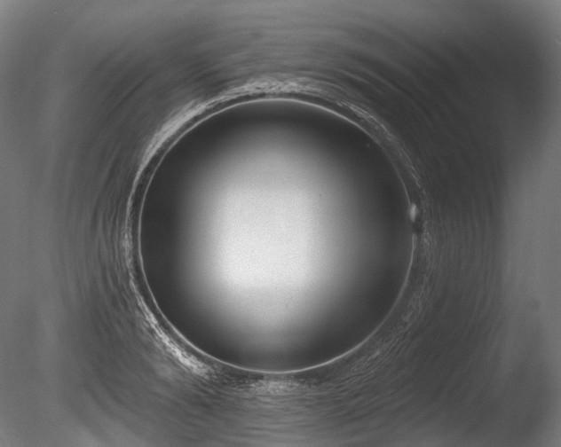 X0000086000894200703231142