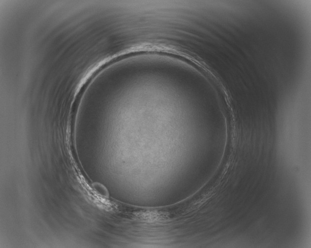 X0000086000896200703231142