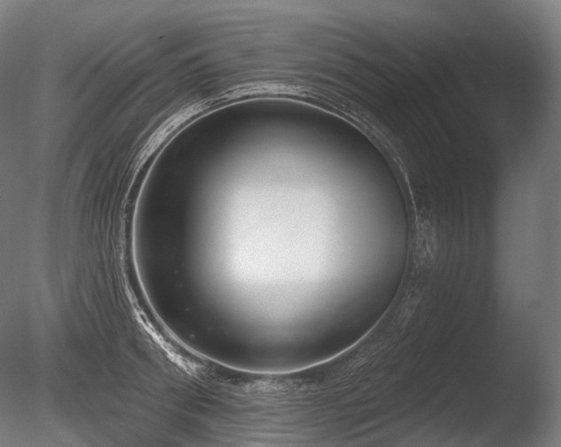 X0000086000898200703231142