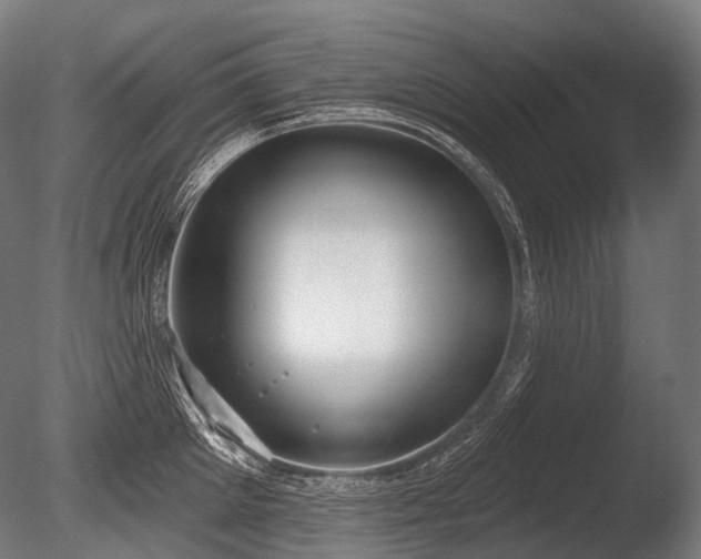 X0000086000905200703231142
