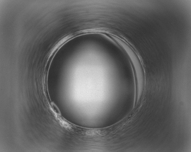 X0000086000909200703231142