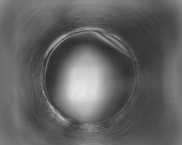 X0000086000910200703231142