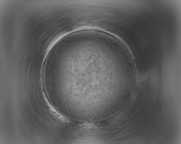 X0000086000911200703231142