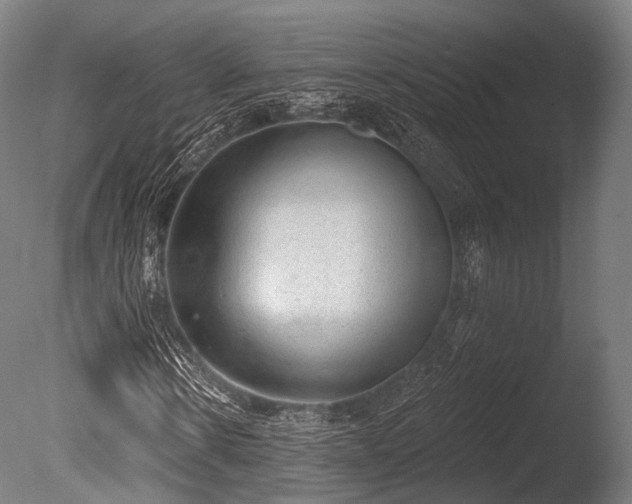 X0000086000914200703231141