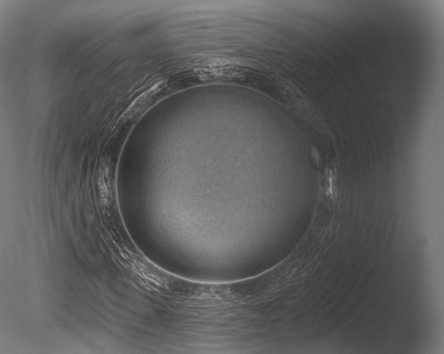 X0000086000915200703231141