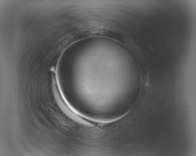 X0000086000916200703231141