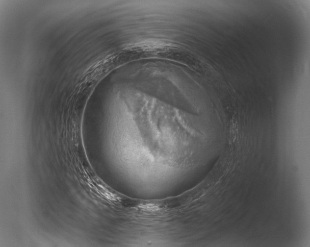 X0000086000917200703231141