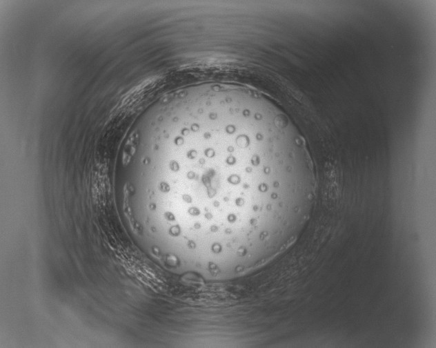 X0000086000918200703231141