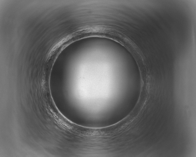 X0000086000922200703231141