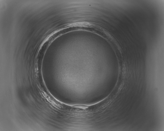 X0000086000923200703231141