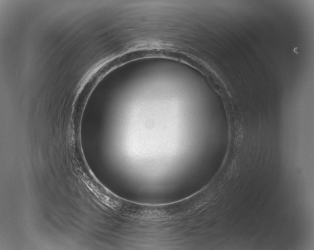 X0000086000927200703231141