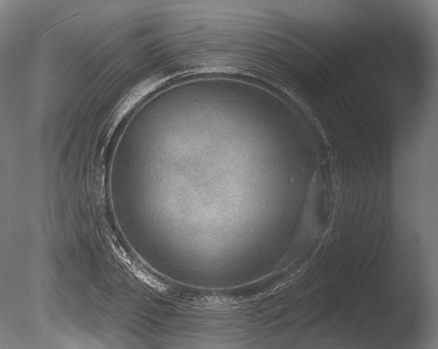 X0000086000933200703231141