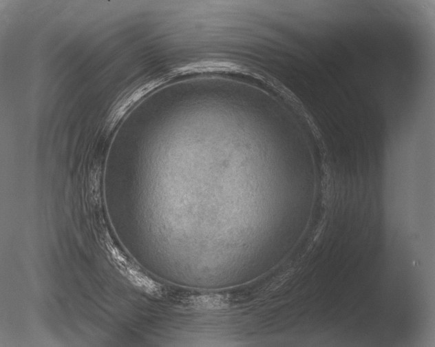 X0000086000937200703231141